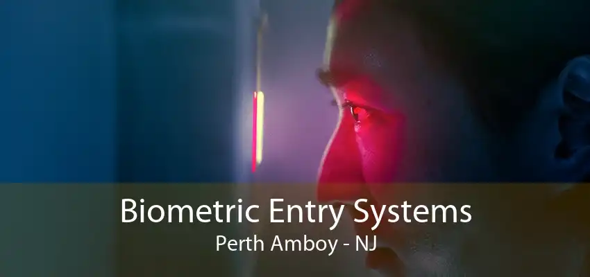 Biometric Entry Systems Perth Amboy - NJ